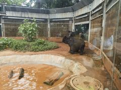 -昆明动物园