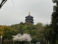 -浙江西子宾馆·牡丹厅