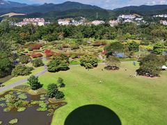 -中国科学院西双版纳热带植物园