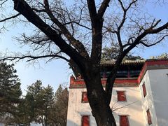-普陀宗乘之庙(小布达拉宫)