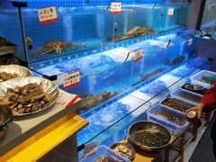 水产区-阿毛饭店(和义路店)