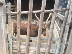-呀路古热带植物园