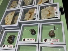-辽宁古生物博物馆