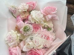 -Hi City·城市之巅