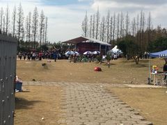 -上海长兴岛郊野公园