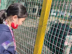 -武汉紫薇都市田园