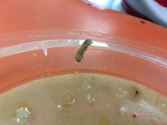 -飞厦老二手槌牛肉丸店