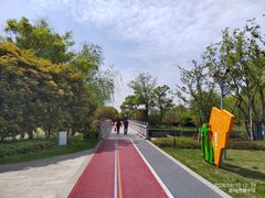 -澹台湖公园