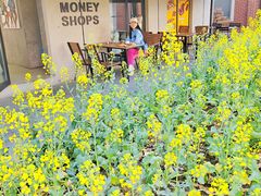 -Money Shops(愚园路店)