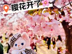 -上海辰山植物园