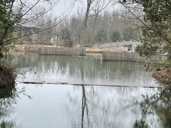 -溱湖国家湿地公园