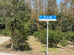 -上海长兴岛郊野公园