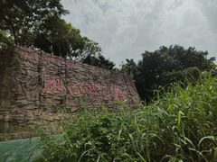 -紫云谷景区