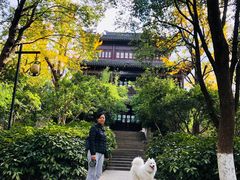 -花溪公园
