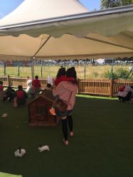 -萌宠亲子动物乐园(槐房万达店)