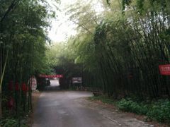 -铁山坪森林公园