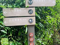 -四洞沟景区