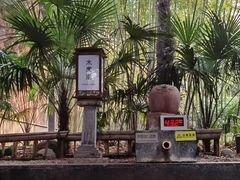 -西安国际创新人才交流中心•药浴温泉