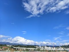 -正宗杨记普洱酸醋米线(总店)