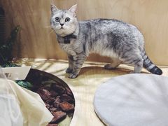 -XI·LaundryCafe 喜咖自助洗衣咖啡店