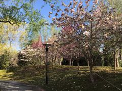 -北极寺公园