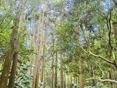 -狼山风景名胜区