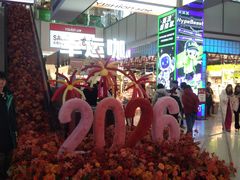 -吾悦广场(天津和平店)