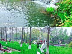 -圩墩遗址公园