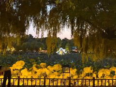 -长春市南湖公园