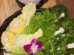 -淼福猪肚鸡·椰子鸡火锅(大沙地店)