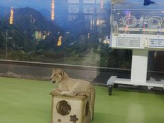 -栾川竹海野生动物园