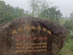 -池杉湖湿地公园