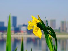 -星巴克(成都科学城店)