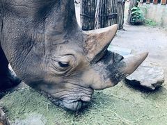 -普洱太阳河森林公园
