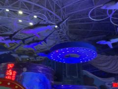 -烟台海昌鲸鲨海洋公园