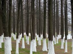 -艾溪湖湿地公园