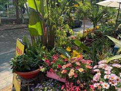 -山水茶艺馆·点心粤菜·30年老字号