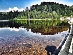 -五营红松林海景区