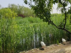 -永定河休闲森林公园