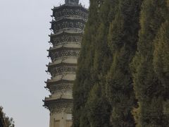 -赵州桥景区