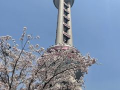 -东方明珠广播电视塔