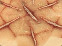 -活鱼馆(宜兴埠店)