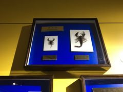 -上海昆虫博物馆