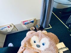 -维也纳国际机场