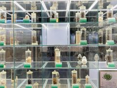 -广东中医药博物馆