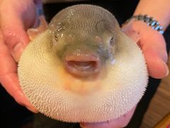 -永安鱼庄·镇江菜(丁卯店)