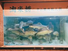 -淘米捞·米汤脆鲩鱼火锅(福田皇岗店)