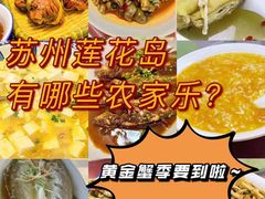 -小陆莲花蟹园农家乐(莲花岛店)
