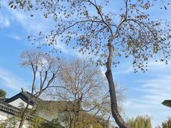 -苏城小院·园林精致苏州菜(斜塘老街店)