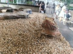 -自然博物馆新馆2楼餐厅